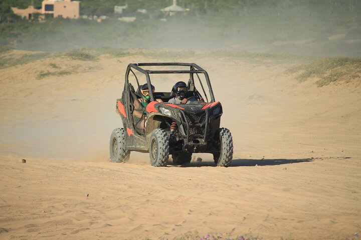 Cabo Migrino Beach & Desert UTV Tour and Tequila Tasting