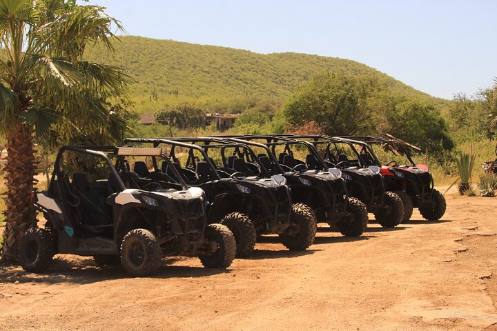 Cabo Migrino Beach & Desert UTV Tour and Tequila Tasting