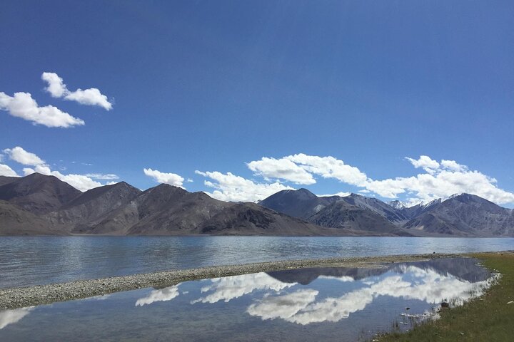 Pangong Delights: A Memorable Day Excursion from Leh