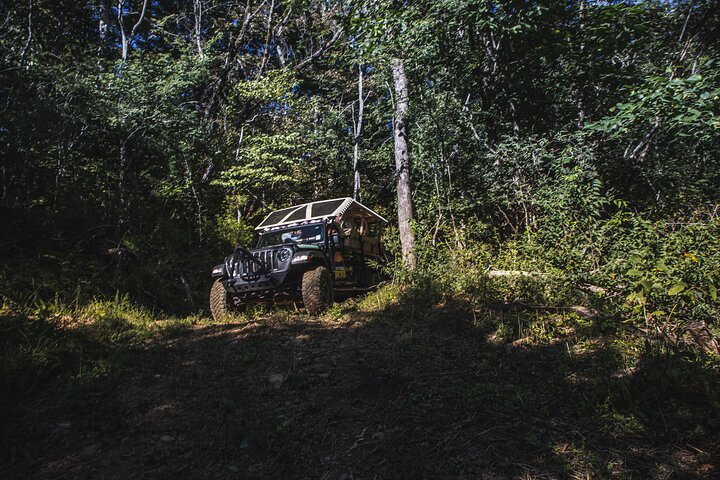 Smoky Mountains Roaring Fork Guided Sightseeing Tour by Jeep