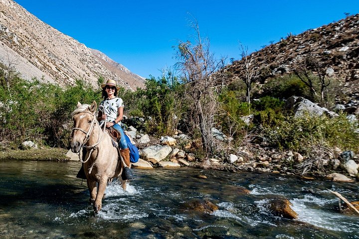 Cabalgata Ancestral
