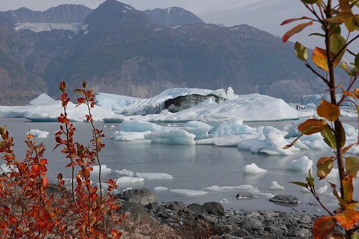 Grand Knik Helicopter Tour - 2 hours 3 landings - ANCHORAGE AREA