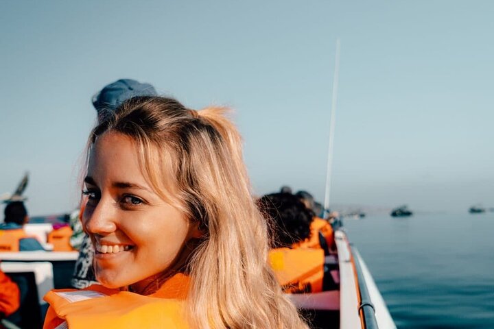 BALLESTAS ISLANDS + Paracas and Candelabra Reserve – Ica and Paracas