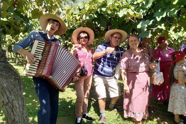 Private Tour to Serra Gaúcha Vineyards