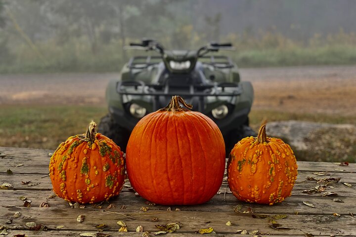 New River Gorge ATV Adventure Tour