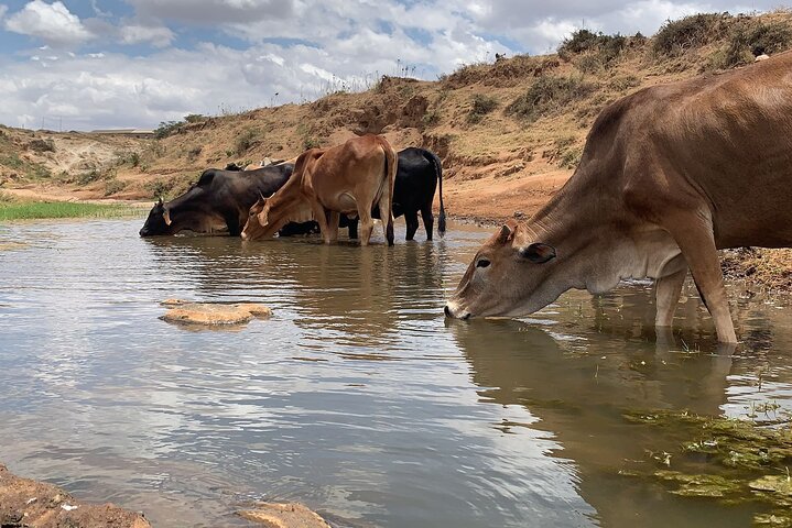 Nairobi Masai village Day Tour Experience