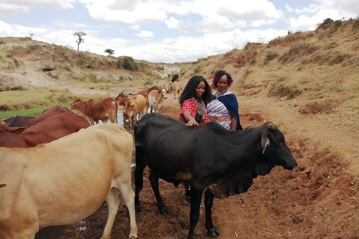 Nairobi Masai village Day Tour Experience