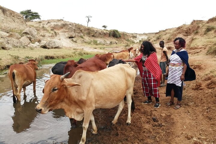 Nairobi Masai village Day Tour Experience
