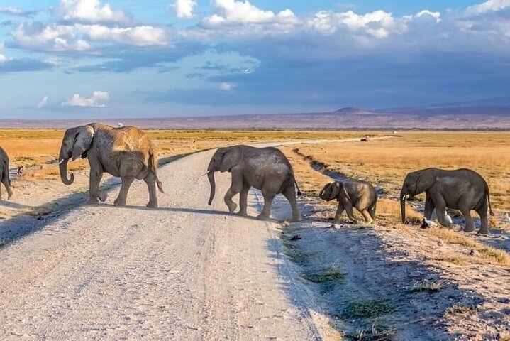 3-Day Ngorongoro Crater Manyara and Tarangire Safari from Arusha