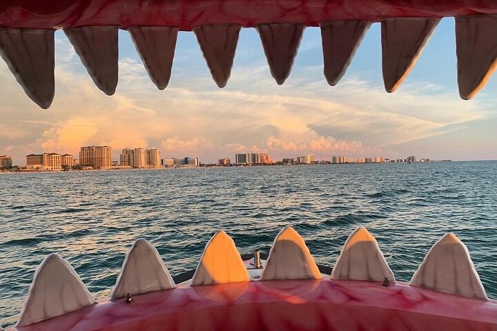 Mega Bite Dolphin Tour Boat in Clearwater Beach