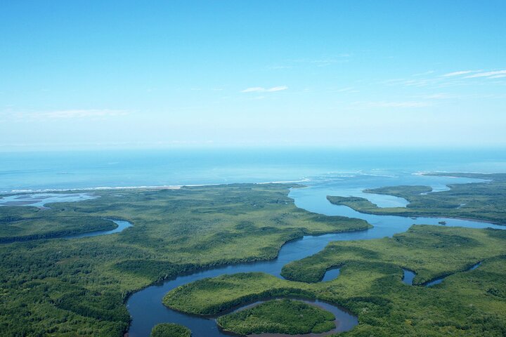One Day Tour To Térraba-Sierpe Mangrove By Boat From Sierpe