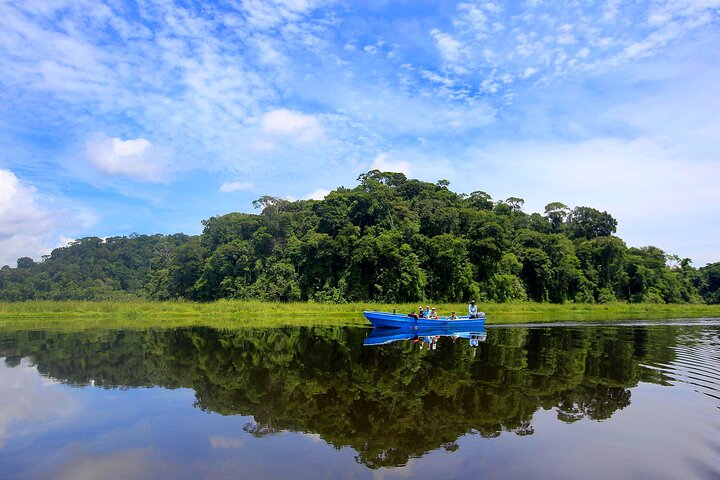 One Day Tour To Térraba-Sierpe Mangrove By Boat From Sierpe