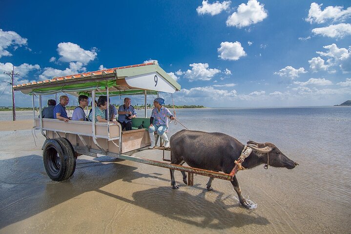 Okinawa Iriomote Barasu Snorkeling and Yubu Sightseeing