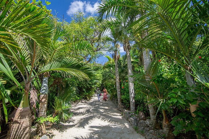 Okinawa Iriomote SUP or Canoe and Sightseeing in Yubujima Island