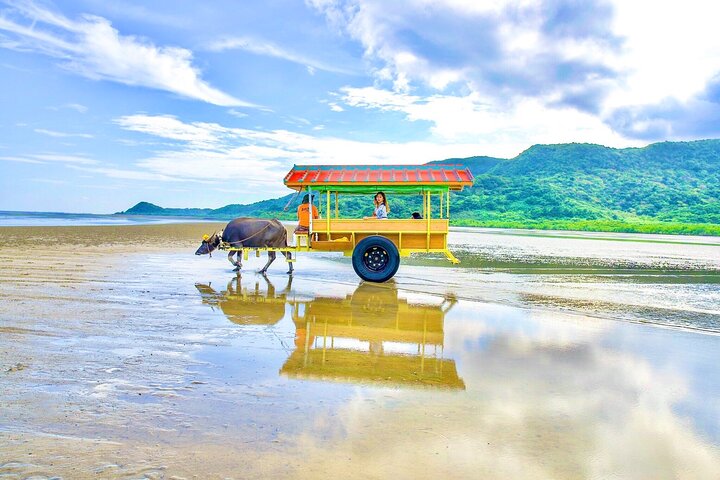 Okinawa Iriomote SUP or Canoe and Sightseeing in Yubujima Island