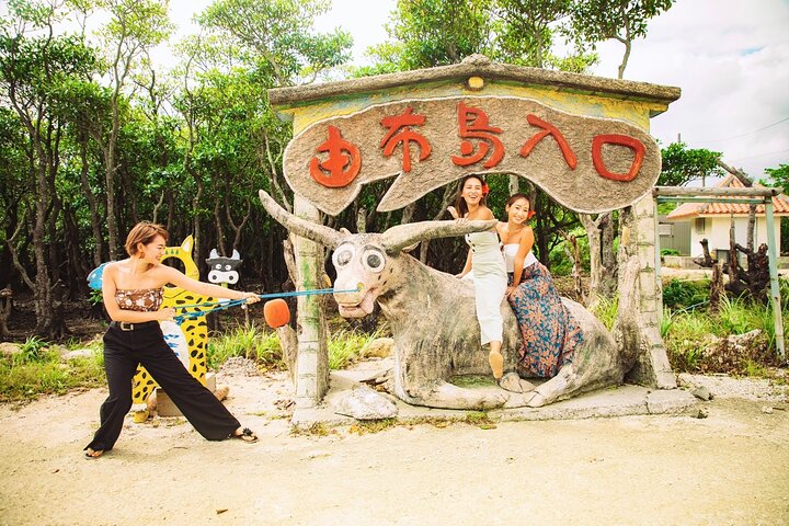 Okinawa Iriomote SUP or Canoe and Sightseeing in Yubujima Island