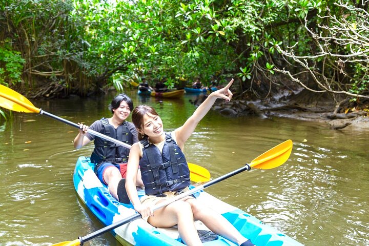 Iriomote Island 1-Day Snorkeling & Mangrove SUP or Canoe