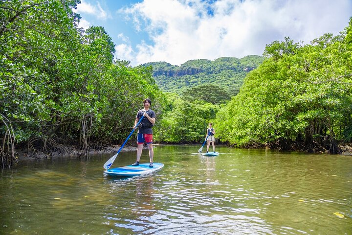 Okinawa Iriomote Mangrove SUP or Canoe Tour