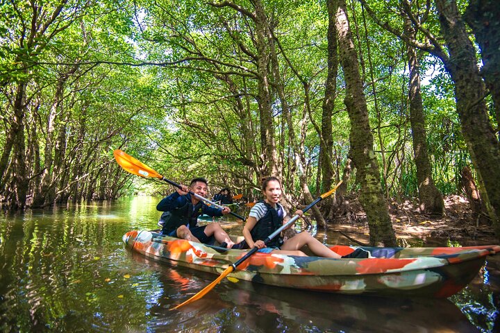 Okinawa Iriomote Mangrove SUP or Canoe Tour