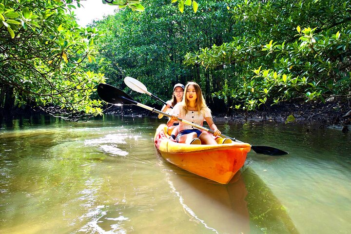Iriomote 1 Day Mangrove SUP/Canoe, Barasu Island & Yubu Island