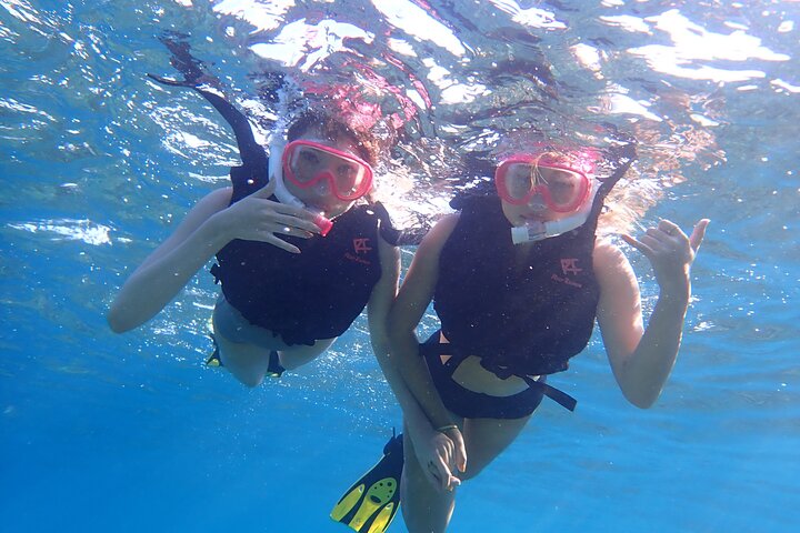 Iriomote Island 1-Day Snorkeling & Mangrove SUP or Canoe