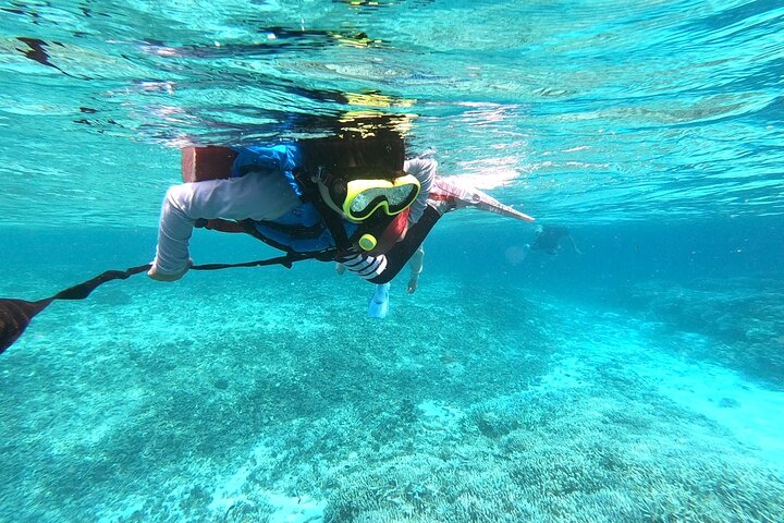 Okinawa Iriomote Snorkeling Tour at Coral Island