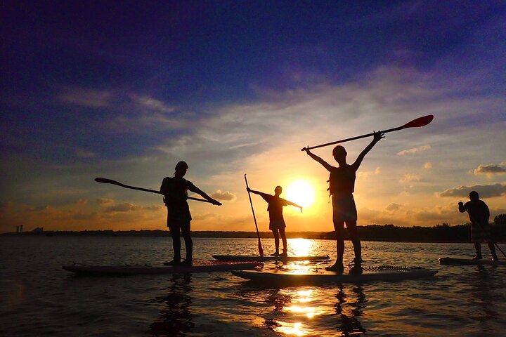 Okinawa Iriomote Sunset SUP or Canoe Tour in Iriomote Island