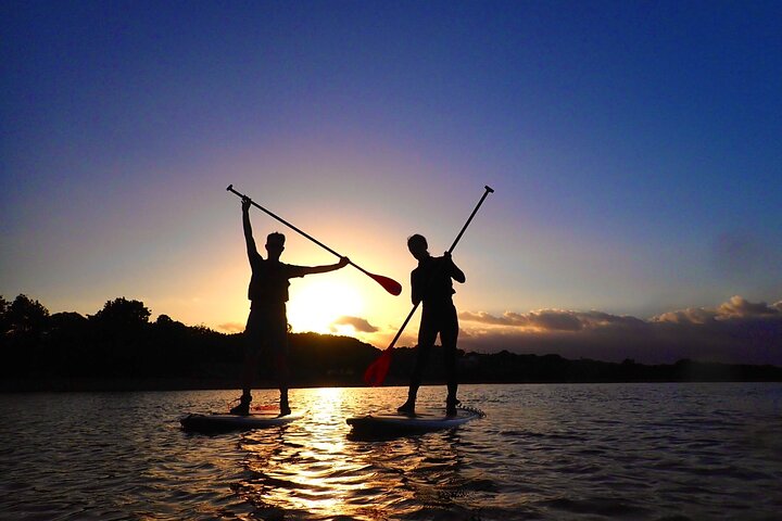 Okinawa Iriomote Sunrise SUP/Canoe Tour in Iriomote Island