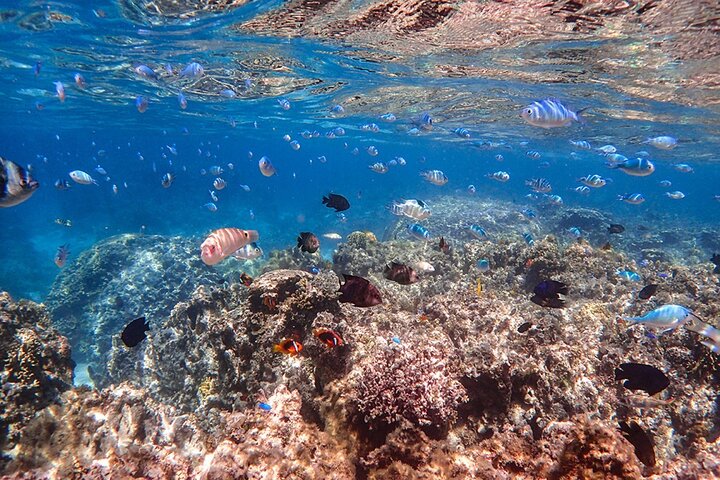 Okinawa Ishigaki Phantom Island Snorkeling Tour