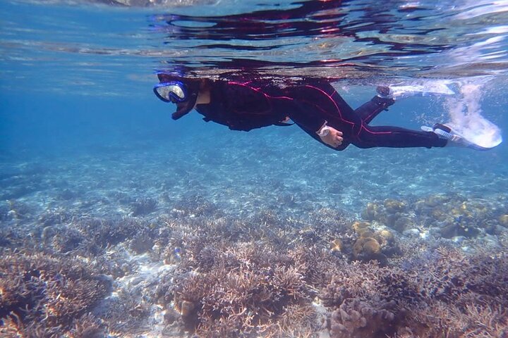 Okinawa Ishigaki Phantom Island Snorkeling Tour