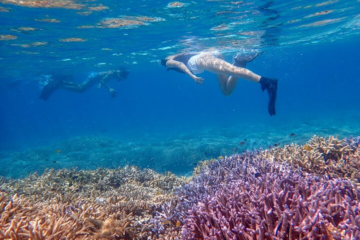Okinawa Ishigaki Phantom Island Snorkeling Tour