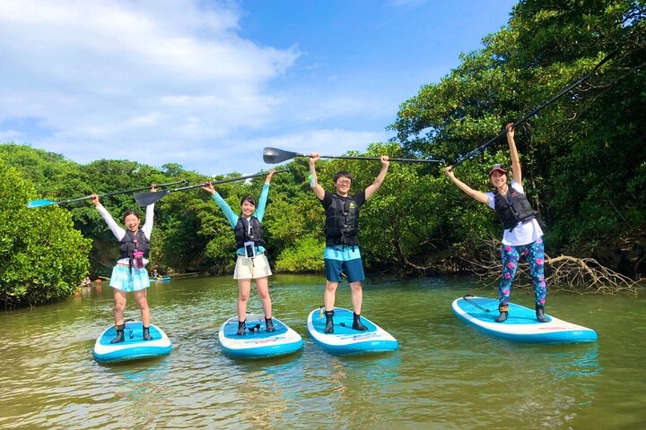 Okinawa Ishigaki Mangrove SUP or Canoe Tour