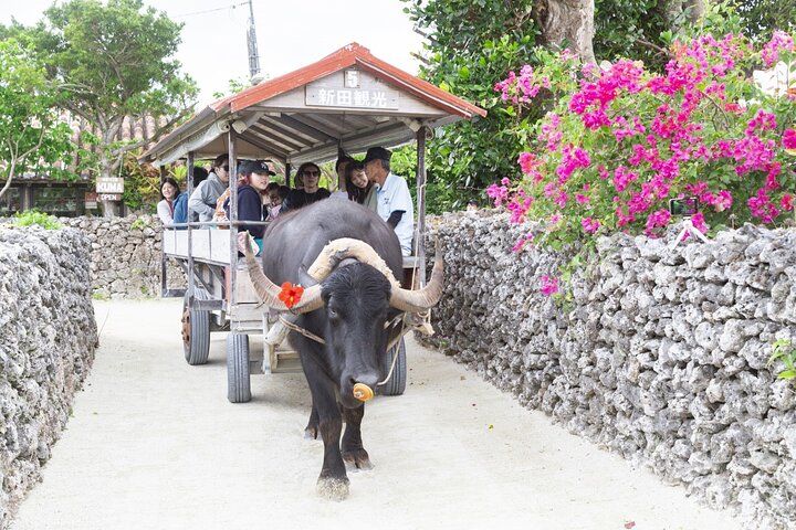 Ishigaki Phantom Island Snorkeling Taketomi Island Sightseeing