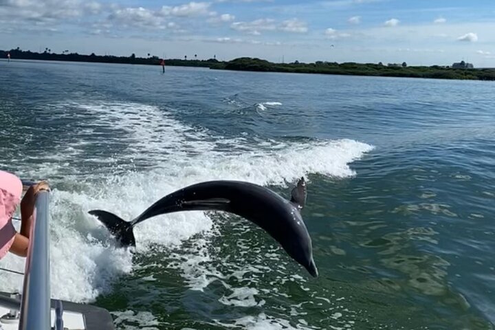 Mega Bite Dolphin Tour Boat in Clearwater Beach