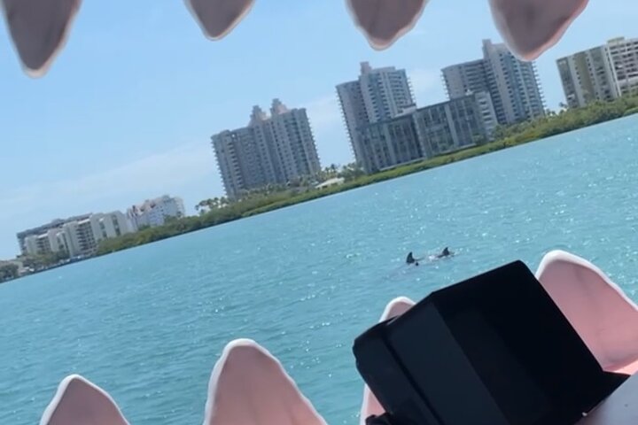 Mega Bite Dolphin Tour Boat in Clearwater Beach