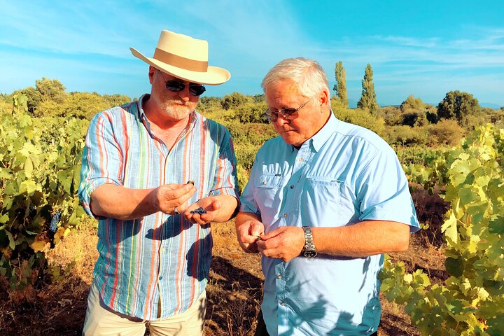 Discover the unique wine and villages of the Sierra de Salamanca