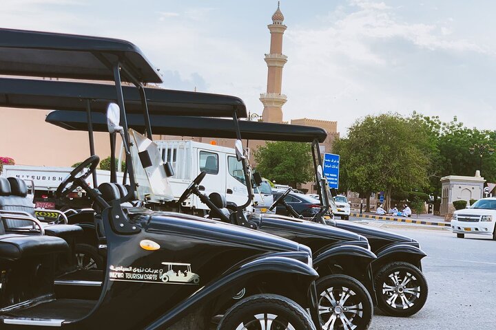 Heritage private Tour by classic carts