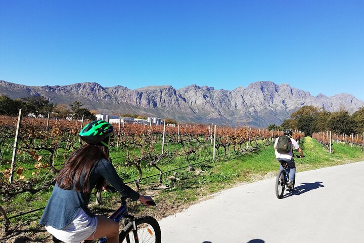 Franschhoek Sip & Cycle Experience Half Day - Private Tour