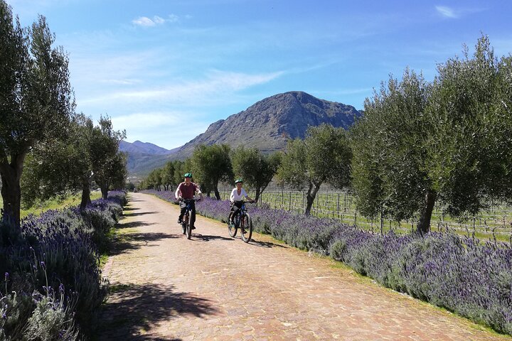 Franschhoek Sip & Cycle Experience Half Day - Private Tour