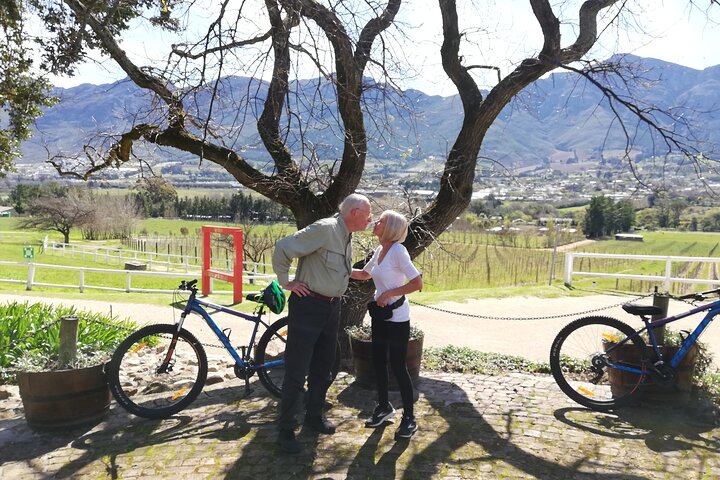 Franschhoek Sip & Cycle Experience Half Day - Private Tour