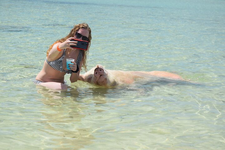 Swimming with Pigs in Nassau, Transportation Included
