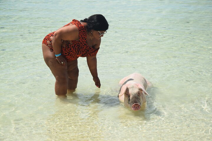 Swimming with Pigs in Nassau, Transportation Included