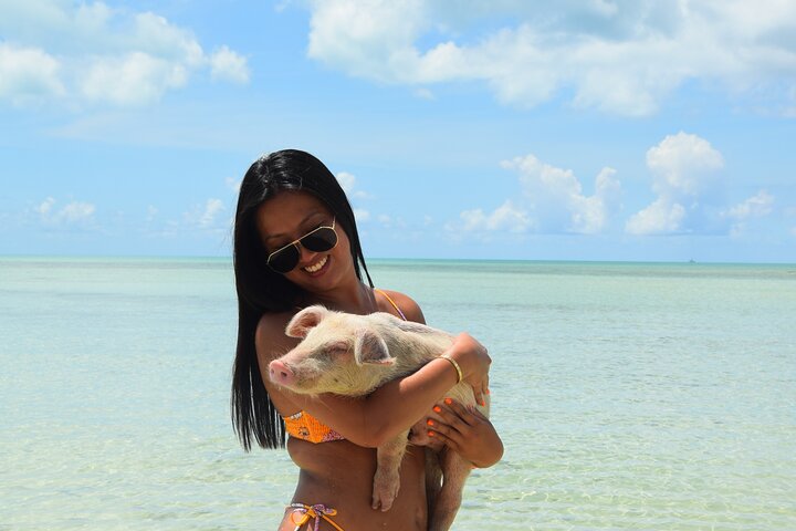 Swimming with Pigs in Nassau, Transportation Included