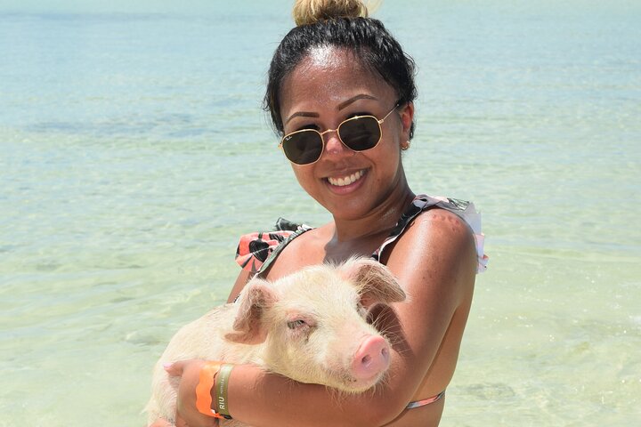 Swimming with Pigs in Nassau, Transportation Included