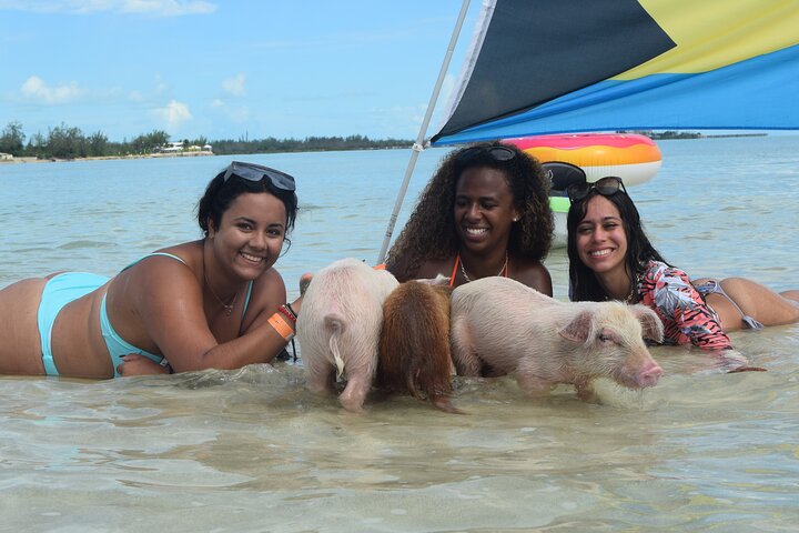 Swimming with Pigs in Nassau, Transportation Included