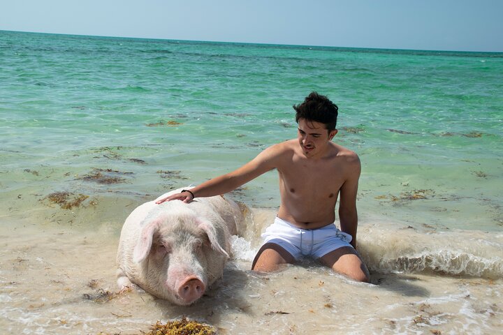 Swimming with Pigs in Nassau, Transportation Included