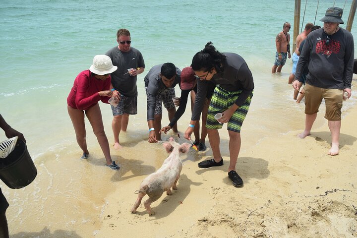 Swimming with Pigs in Nassau, Transportation Included