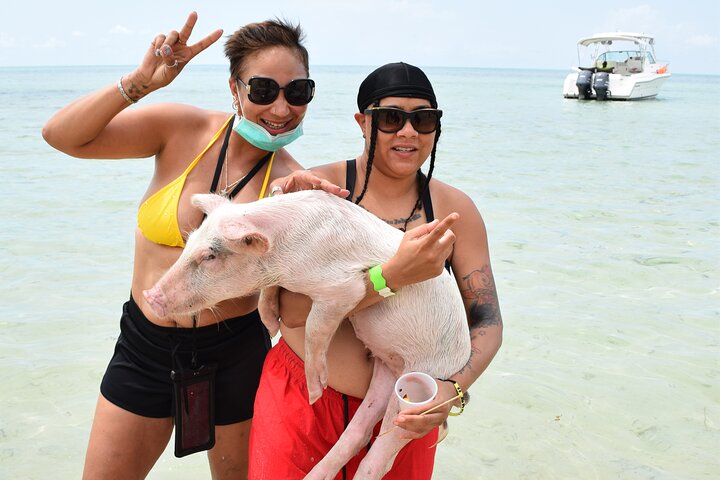 Swimming with Pigs in Nassau, Transportation Included