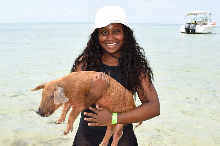 Swimming with Pigs in Nassau, Transportation Included