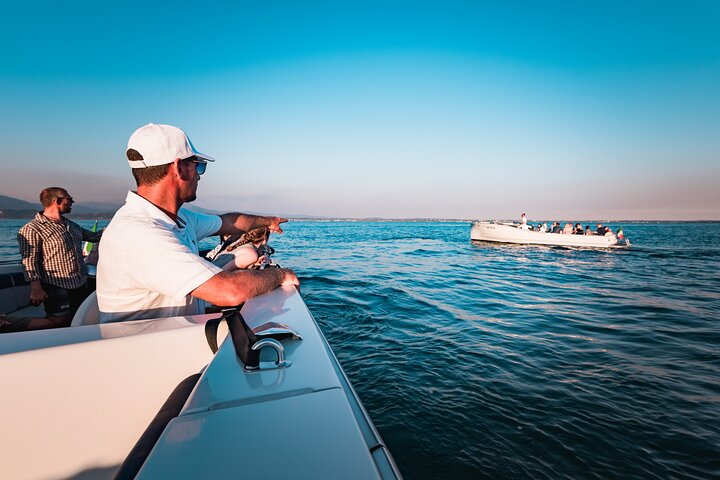 Lake Garda Mini Cruise: Sirmione Peninsula